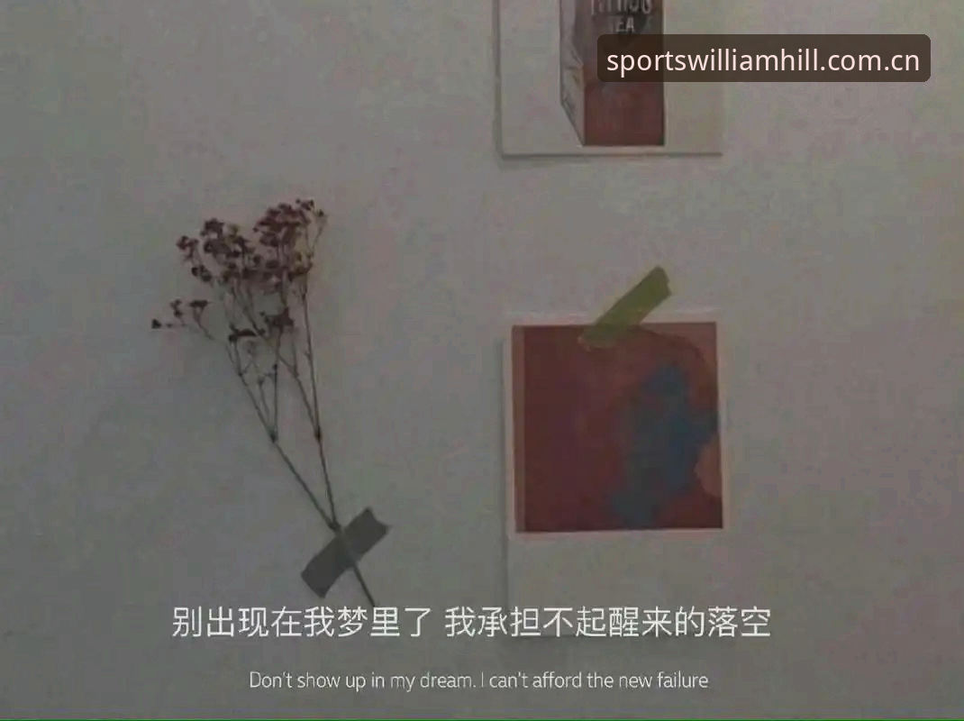威廉希尔体育网页版中国中文主页网页登录对比 别盯着旧版不放手:中文主页登录体验的2026版本真相
